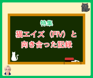 猫エイズ（FIV）と向き合った記録｜特集シリーズはこちら